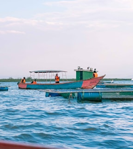 Aquaculture