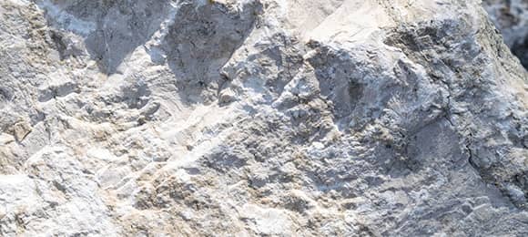 Precipitated Calcium Carbonate (PCC) Feedstock